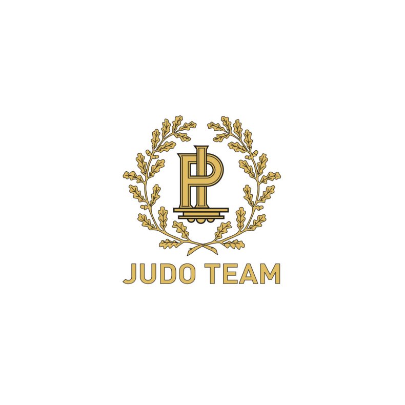 PI Judo Team logo - small