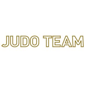 PI Judo Team ryglogo