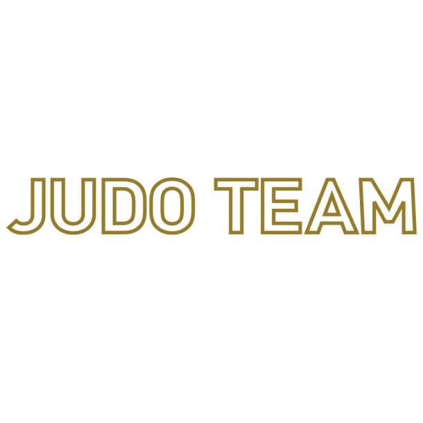 PI Judo Team ryglogo