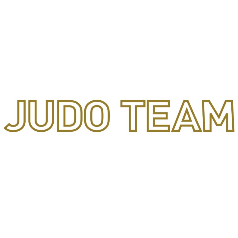 PI Judo Team ryglogo
