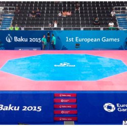 Daedo Puzzlemtte WT octagon - rd/bl