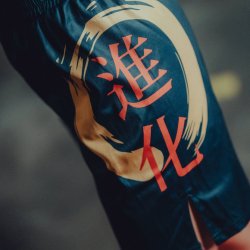 MMA shorts Legacy 2.0