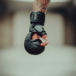 MMA handsker Legacy 2.0 - sort