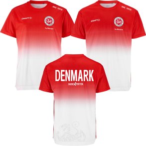SKIF t-shirt Evolve 2.0 structured graphic - dame/herre