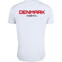 SKIF t-shirt Basic Active dryfit - herre