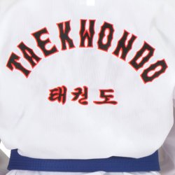 Dobok Basic - WT