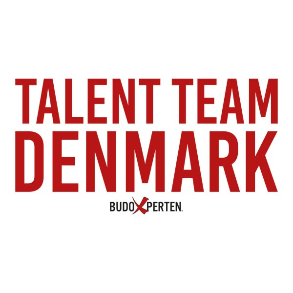Talent Team ryglogo - r�d