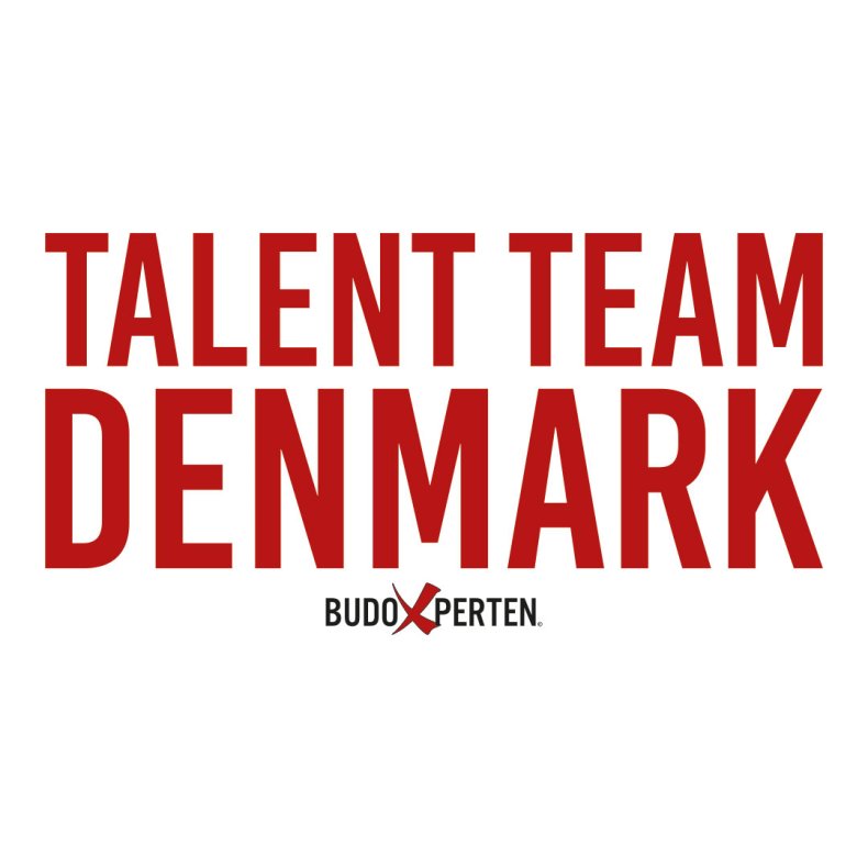 Talent Team ryglogo - r�d