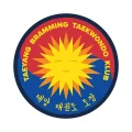 Taeyang logo