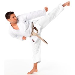 Gi Kata Ultimate - made in Japan