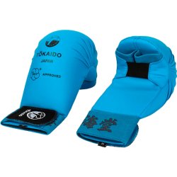 Kamphandsker point Kanji - WKF