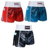 Shorts Kickboxing - Legacy25