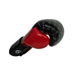 Boksehandsker FXB-V2 - sort/r�d